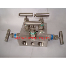 Manifold Valve with 5 Way